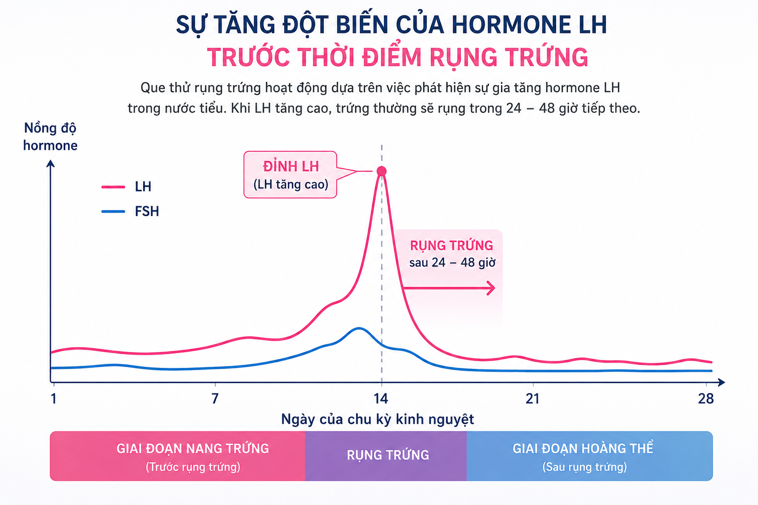 NÊN SỬ DỤNG QUE THỬ RỤNG TRỨNG VÀO THỜI ĐIỂM NÀO TRONG NGÀY? 1
